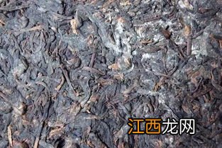 怎么看茶叶是否发霉