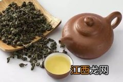 乌茶怎么泡