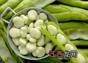 蚕豆有什么颜色