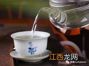 洗茶怎么读