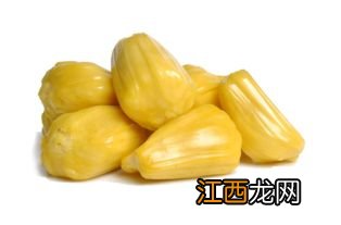 菠萝蜜的籽煮多久可以吃