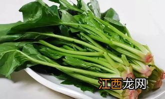 菠菜和什么榨汁减肥