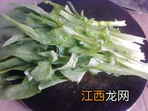 包头菜炒了为什么苦