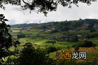 普洱大芦山怎么样