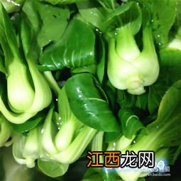 油菜怎么做好吃东北