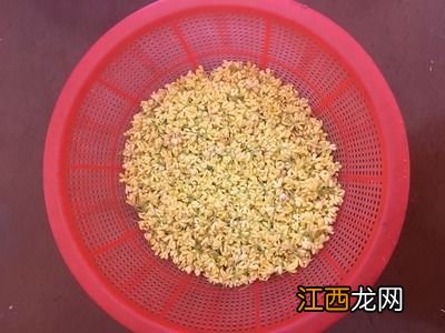 怎么自制桂花茶