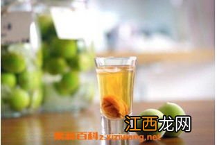 做青梅汁用什么糖