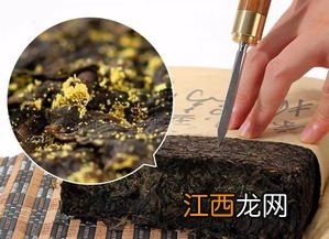 黑茶中金花真假怎么辨别