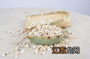 薏米怎么画