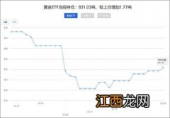 ETF黄金持仓量是什么？