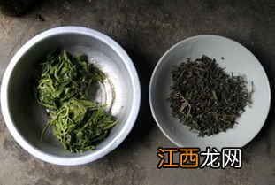 绿茶发酵度怎么确定