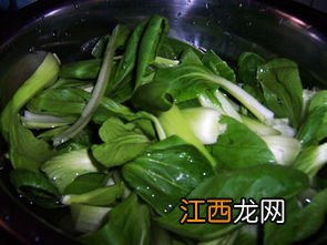 香菇青菜香菇要泡多久