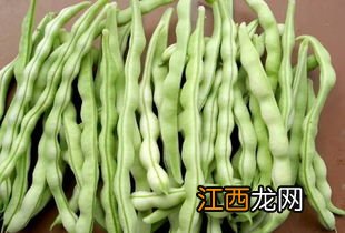 四季豆跟什么 相克