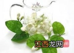 茉莉花怎么制作成茶