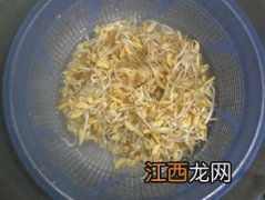 黑豆芽要煮多久