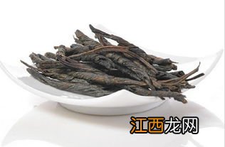 大叶苦丁什么味道怎么有臭味