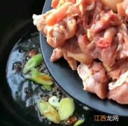 什么饨母鸡肉好吃