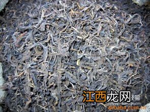 茯砖茶茶虫怎么来的