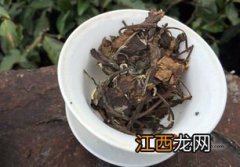 寿眉白茶怎么只能泡一泡