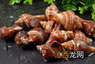 海螺冷冻后煮多久能熟