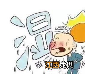 湿气太重了不能吃什么