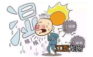 湿气太重了不能吃什么