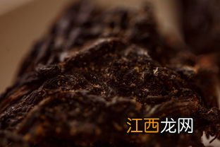 怎么辨别黑茶里的金花