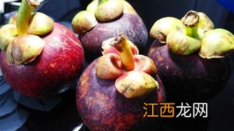 山竹不与什么同吃