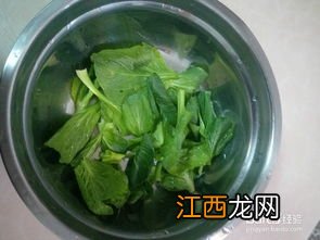 辅食油菜烫多久