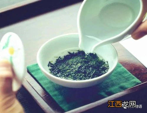 玉露茶 怎么泡