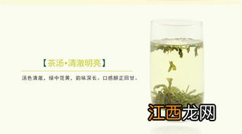 黄山毛尖茶怎么沏