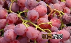 吃完提子多久可以吃虾