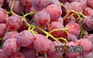 吃完提子多久可以吃虾