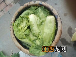 白菜吃之前要泡多久