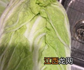 白菜吃之前要泡多久