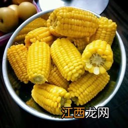 煮玉米要多久能熟