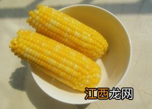 煮玉米要多久能熟