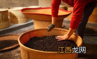 乌龙茶发霉了怎么办