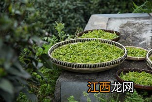 受潮以后的茶叶怎么处理