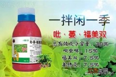 花生地下害虫打什么药