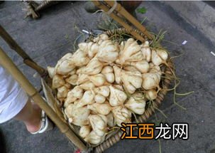 沙葛怎么吃才好