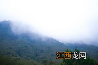 武夷山到桐木关怎么走