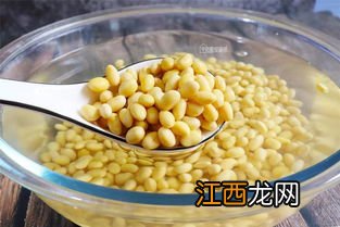 用豆浆怎么做卤水