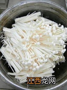 蘑菇金针菇能做什么菜