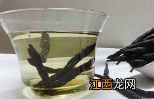 苦丁茶应该怎么泡