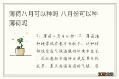 薄荷八月可以种吗 八月份可以种薄荷吗