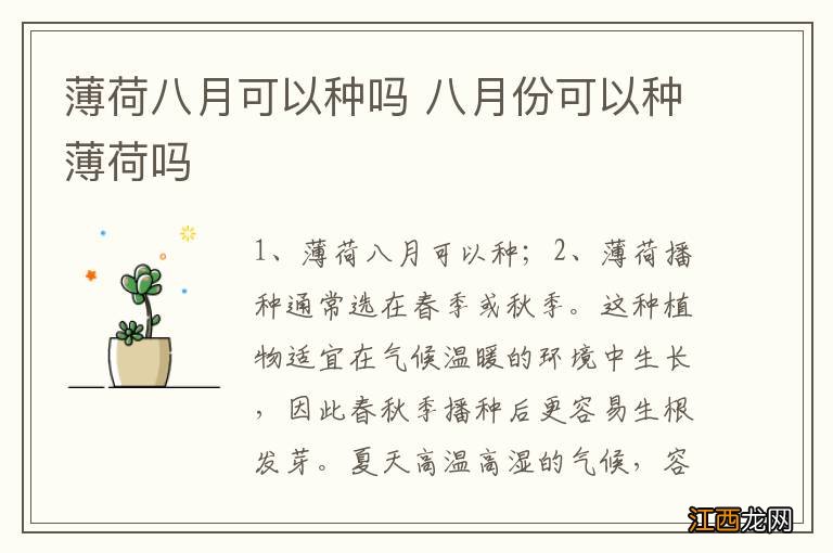 薄荷八月可以种吗 八月份可以种薄荷吗