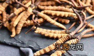 虫草泡水的正确方法 虫草泡水的正确方法是什么