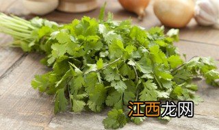 广东几月份可以种香菜 广东八月份可以种香菜吗