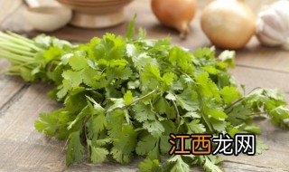 八月底可以种香菜吗 香菜八月份种可以吗